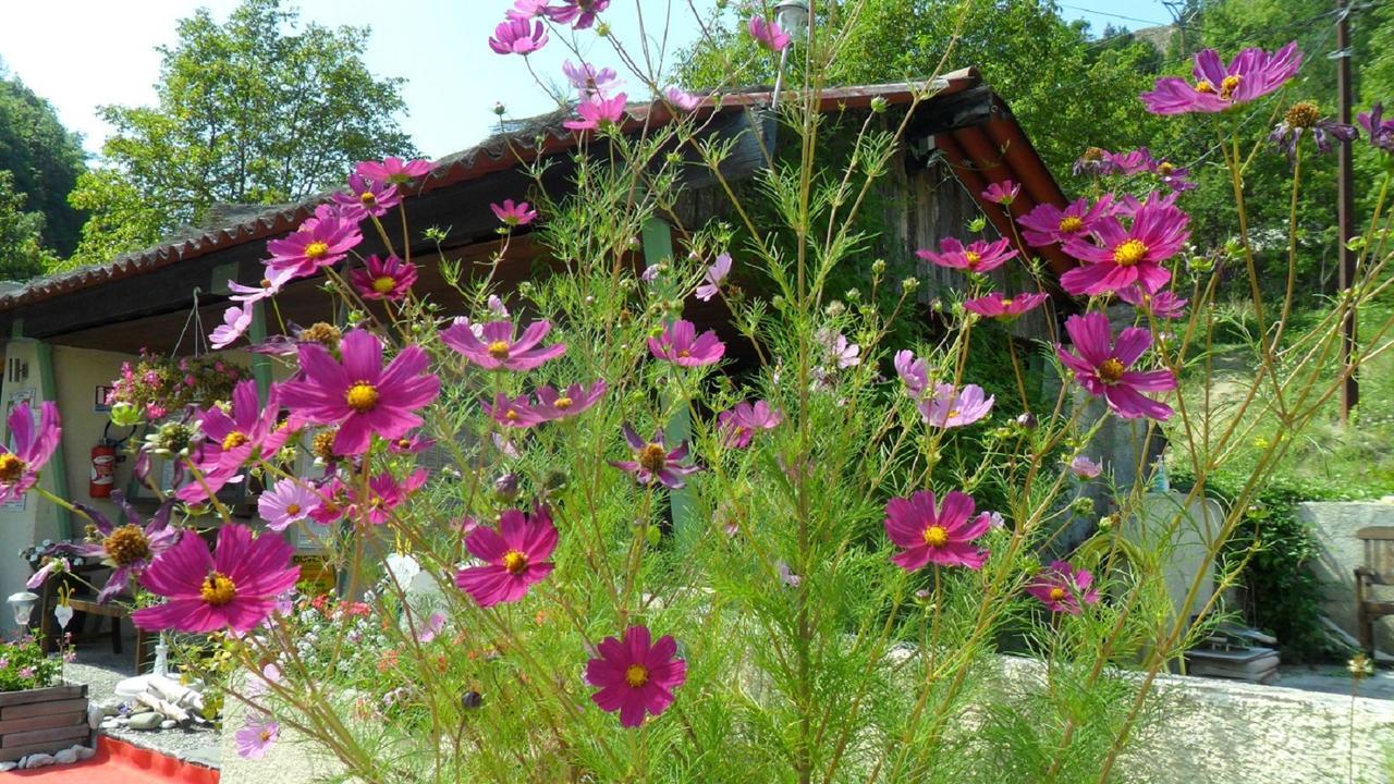 Camping Panoramique Du Verdon Castellane Εξωτερικό φωτογραφία