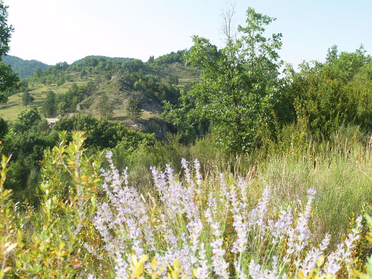 Camping Panoramique Du Verdon Castellane Εξωτερικό φωτογραφία